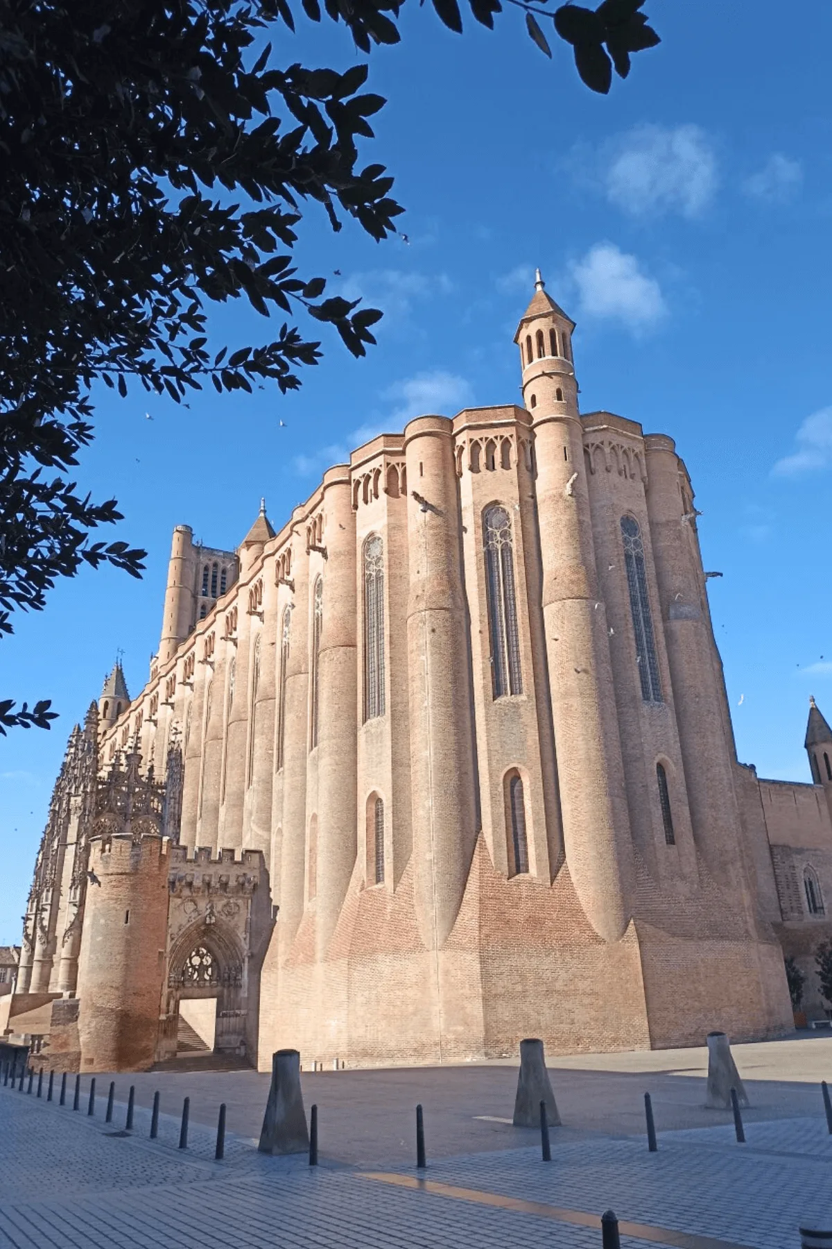 Cathédrale Sainte-Cécile d'Albi